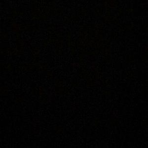 Meet your Posher, Jody